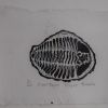 woodengraving black print edition trilobite fossil