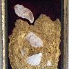 Icon shells gold sand  Argyll painting secret coast collage acrylic assemblage