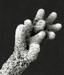 Cladonia - "Wee Hands"